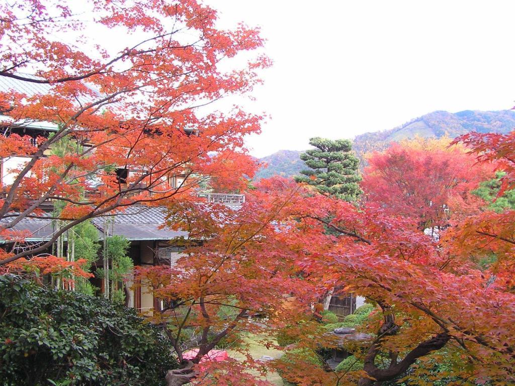 Ryokan Inn Yoshida-Sanso Kyoto Extérieur photo