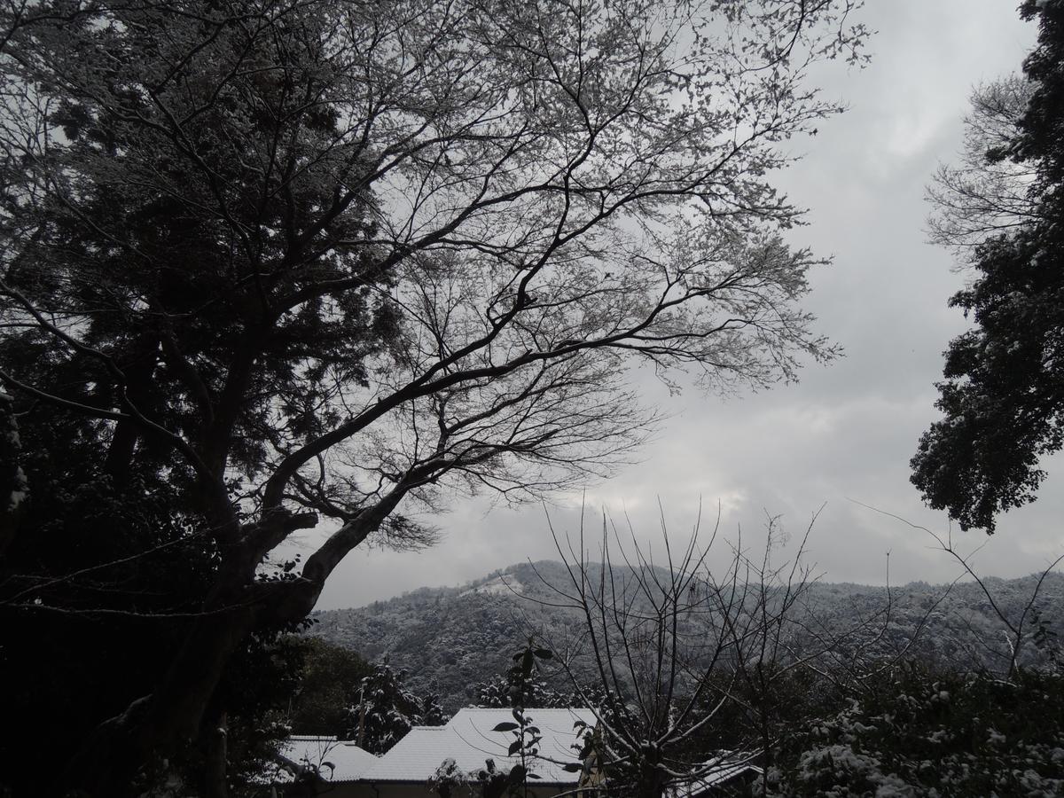 Ryokan Inn Yoshida-Sanso Kyoto Extérieur photo